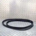 Trunk rubber seal (body)