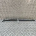 Windshield trim