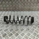 Rear coil spring