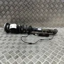 Rear shock absorber/damper