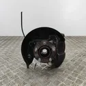 Rear wheel hub