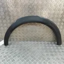 Fender trim (molding)