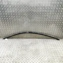 Roof trim bar molding cover