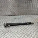 Rear shock absorber/damper