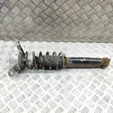 Rear shock absorber/damper