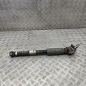 Rear shock absorber/damper