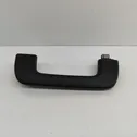 Front interior roof grab handle