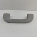 Front interior roof grab handle