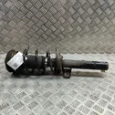 Front shock absorber/damper