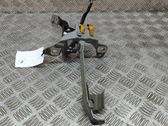 Bisagra del maletero/compartimento de carga