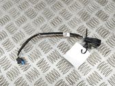 Other wiring loom