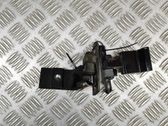 Rear door lower hinge