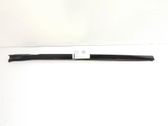 Windshield trim