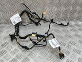 Rear door wiring loom