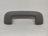 Front interior roof grab handle