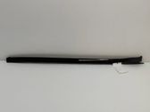 Windshield trim