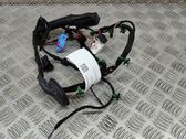Rear door wiring loom