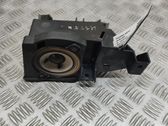 Panel speaker