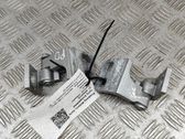 Juego de bisagras de puerta delantera