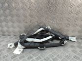 Roof airbag