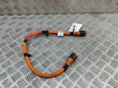 Other wiring loom