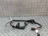 Other wiring loom