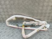 Airbag de toit
