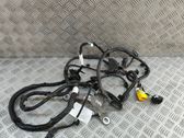 Other wiring loom
