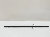 Door glass trim