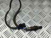 Sonde lambda