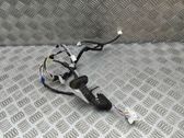 Rear door wiring loom