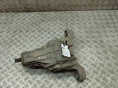 Diferencial trasero