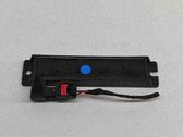Antenne des Keyless-Systems