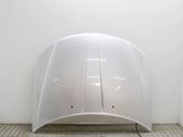 Motorhaube
