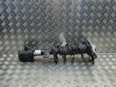 Stoßdämpfer hinten
