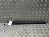Tailgate/trunk strut/damper