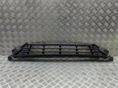 Atrapa chłodnicy / Grill