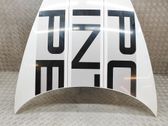 Motorhaube