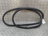 Gummidichtung Coupé-Tür