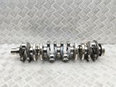Vilebrequin du moteur