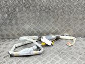 Airbag del techo