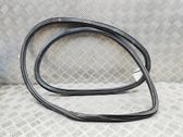 Rubber seal front door (on door)