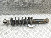 Rear shock absorber/damper