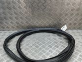 Rubber seal front door (on door)