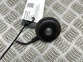 Horn signal