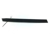 Rear door glass trim molding