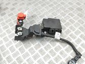 Positive wiring loom