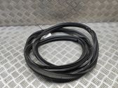 Trunk rubber seal (body)