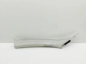 (A) pillar trim