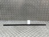 Moldura del vidrio de la puerta